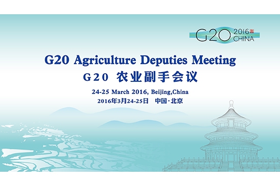 （G20）农业部长会议第一次副手会